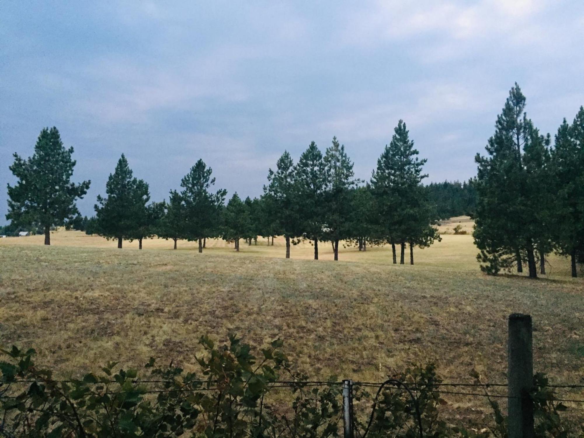 The Silverwood Lodge Athol Dış mekan fotoğraf
